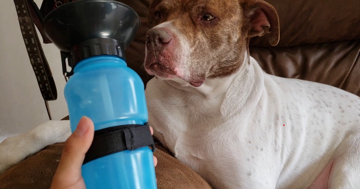 Bebedero Portatil De Agua Para Mascotas